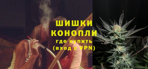 МДПВ Нея