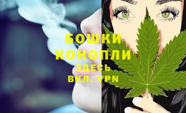 mdpv Новодвинск