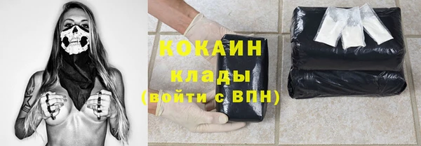МДПВ Нея