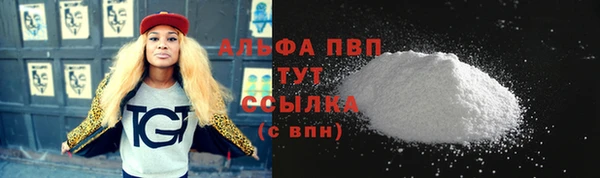 МДПВ Нея
