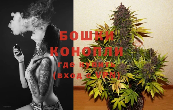mdpv Новодвинск