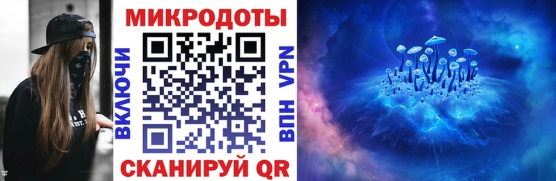 ссылка на мегу как войти Сергач Галлюциногенные грибы ЛСД